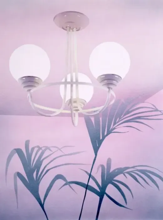Framed Print : 1980s Interior with ceiling light and fern Framed Print : 1980s Interior with ceiling light and fern