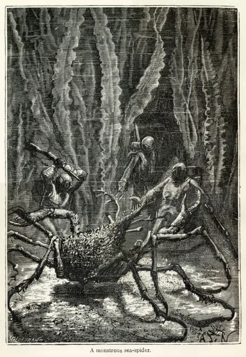 Framed Print : 20000 Leagues Under the Sea, Jules Verne Framed Print : 20000 Leagues Under the Sea, Jules Verne