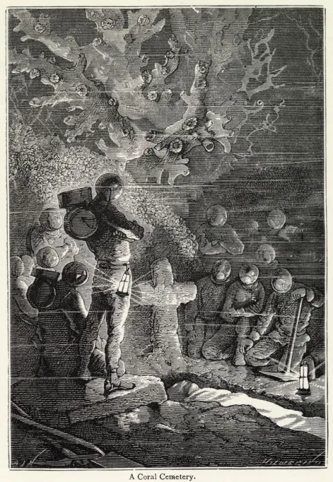 Framed Print : 20000 Leagues Under the Sea, Jules Verne Framed Print : 20000 Leagues Under the Sea, Jules Verne