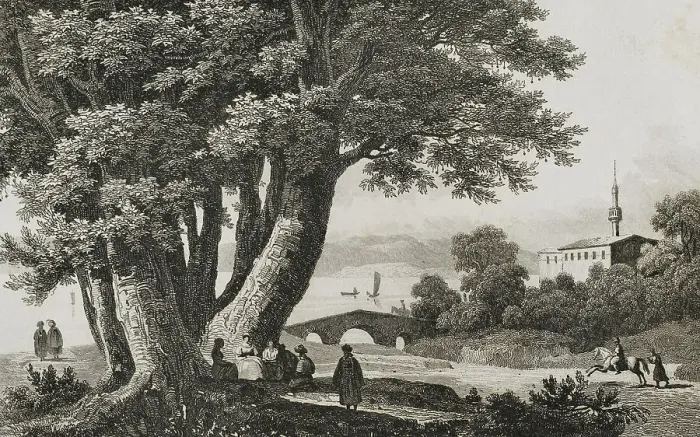 Framed Print : 40 plane trees of Godfrey of Bouillon. Prairie of Buyukdere Framed Print : 40 plane trees of Godfrey of Bouillon. Prairie of Buyukdere