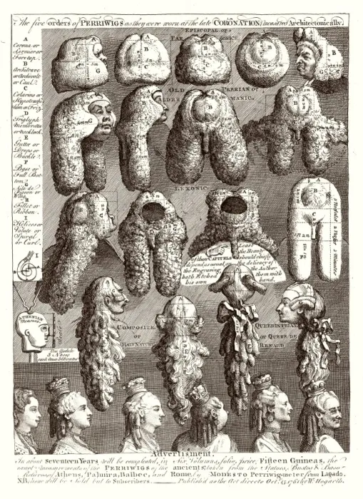 Framed Print : 5 Orders of Periwigs Framed Print : 5 Orders of Periwigs