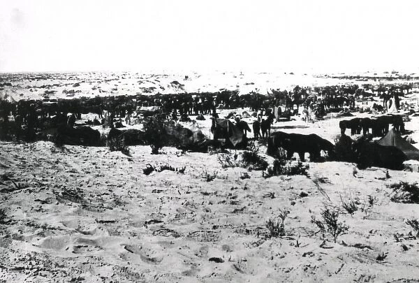 5th Light Horse Regiment camp near Gaza, WW1