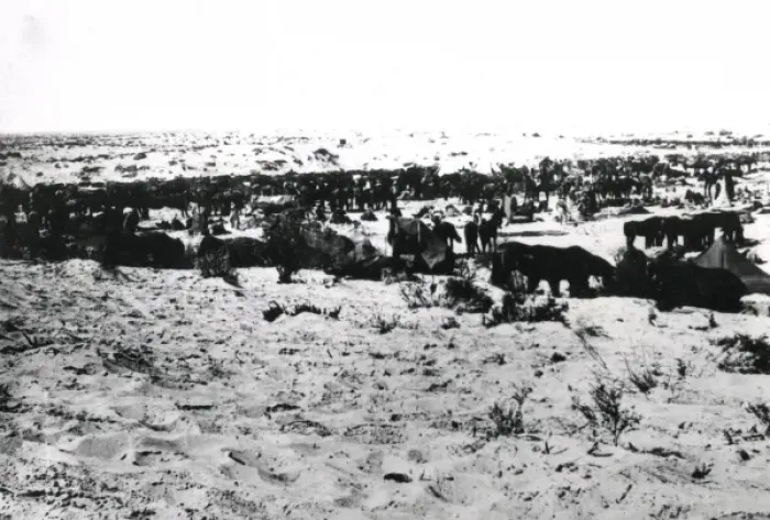 Framed Print : 5th Light Horse Regiment camp near Gaza, WW1