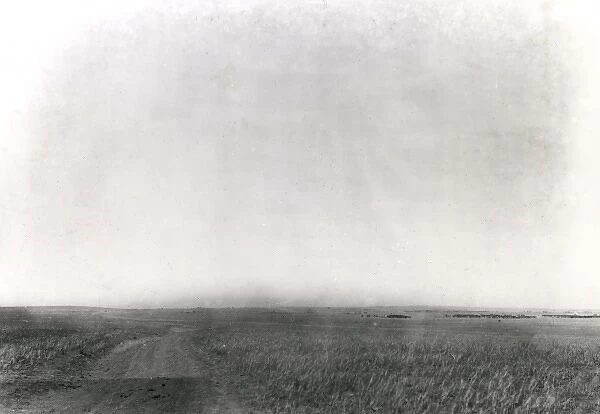5th Light Horse Regiment position near Gaza, WW1