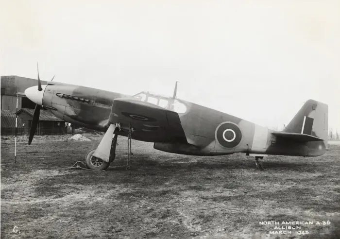 Framed Print : An A-36A (NA-97) Mustang trialled by the RAF Framed Print : An A-36A (NA-97) Mustang trialled by the RAF