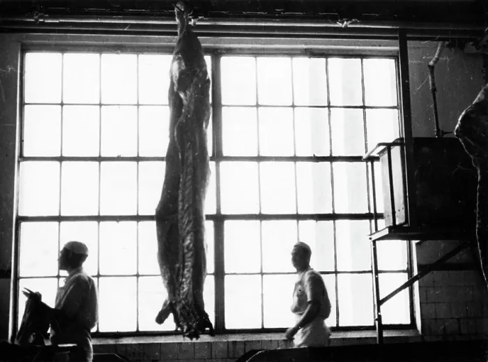 Framed Print : ABBETOIR CARCASS Framed Print : ABBETOIR CARCASS