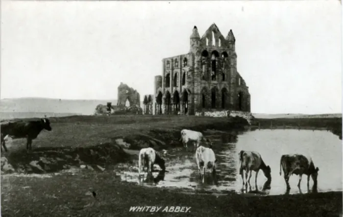 Framed Print : The Abbey, Whitby, Yorkshire Framed Print : The Abbey, Whitby, Yorkshire