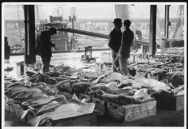 Aberdeen Fish Market