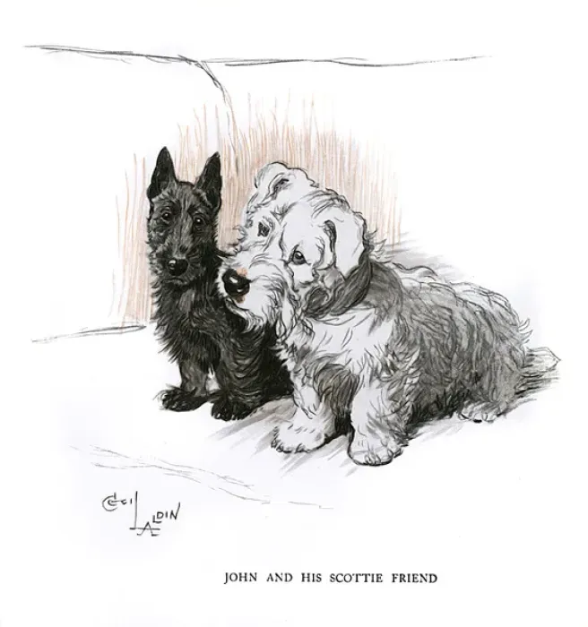 Framed Print : Aberdeen terrier and Sealyham terrier sitting on a sofa Framed Print : Aberdeen terrier and Sealyham terrier sitting on a sofa