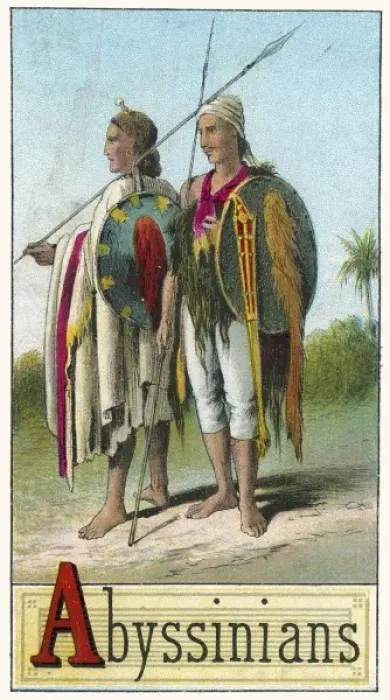 Framed Print : Abyssinian couple Framed Print : Abyssinian couple