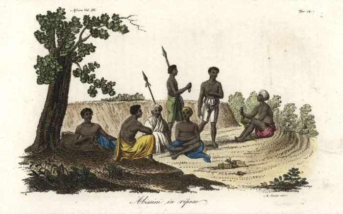 Framed Print : Abyssinians relaxing Framed Print : Abyssinians relaxing