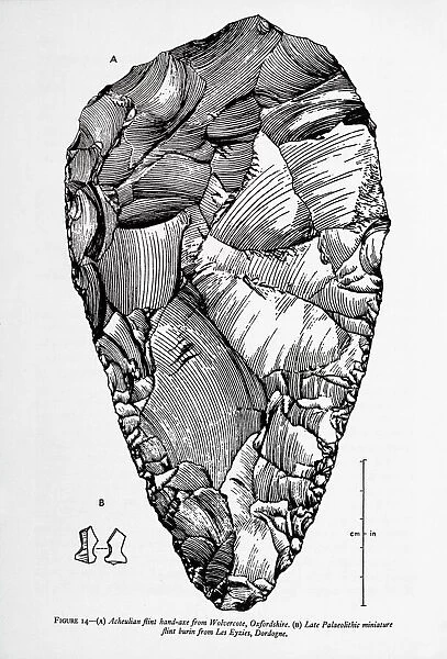 Acheulian flint hand-axe from Wolvercote, Oxfordshire