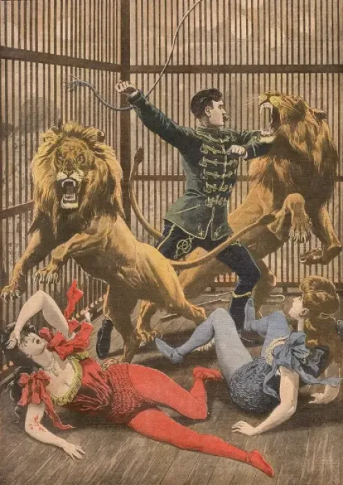 Framed Print : Acrobats Falls / Lion Cage Framed Print : Acrobats Falls / Lion Cage