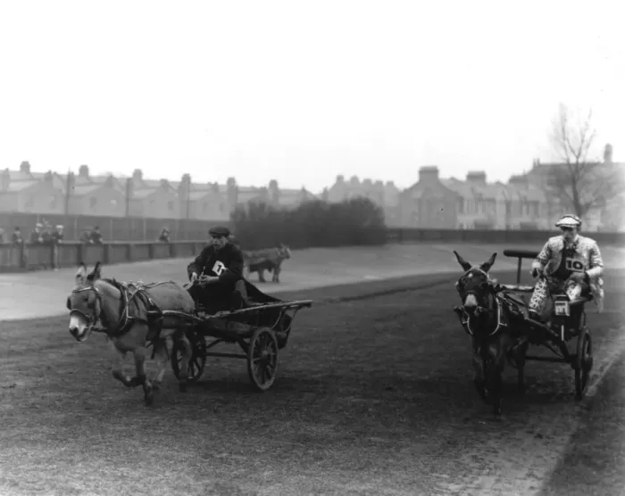 Framed Print : An action shot of donkey cart racing in London Framed Print : An action shot of donkey cart racing in London