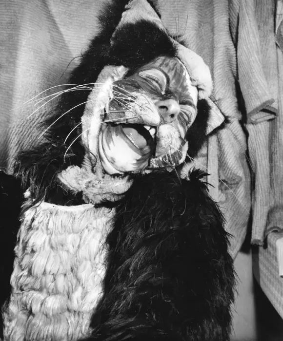 Framed Print : Actress Freda Wyn in cat costume for a pantomime Framed Print : Actress Freda Wyn in cat costume for a pantomime
