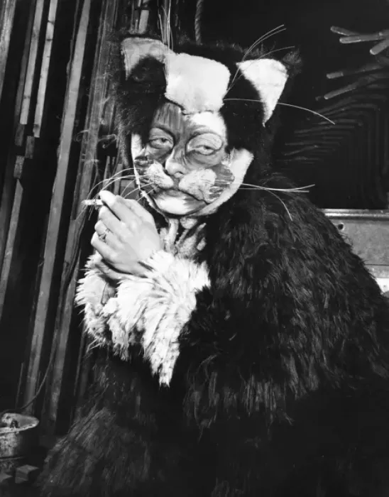 Framed Print : Actress Freda Wyn relaxing in cat costume during a pantomime Framed Print : Actress Freda Wyn relaxing in cat costume during a pantomime