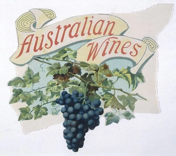 Advert  /  Australian Wine