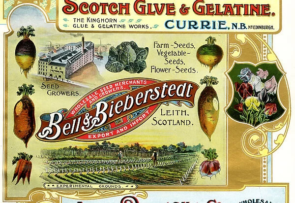 Advert, Bell & Bieberstedt, Seed Growers, Leith, Scotland