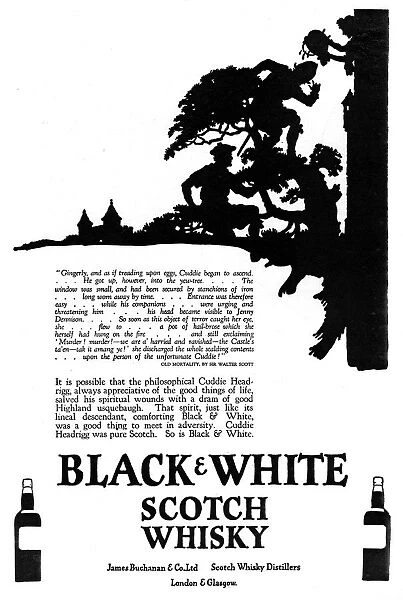Advertisement for Black & White Whisky