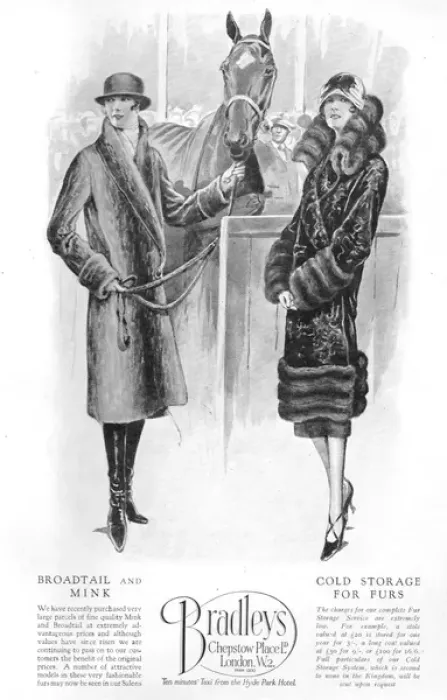 Framed Print : Advert for Bradley Furs, London, 1926 Framed Print : Advert for Bradley Furs, London, 1926