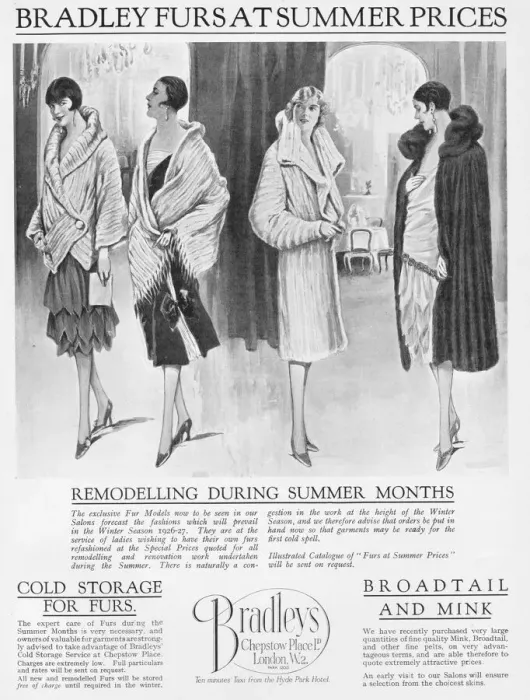 Framed Print : Advert for Bradleys fur coats, London, 1926 Framed Print : Advert for Bradleys fur coats, London, 1926