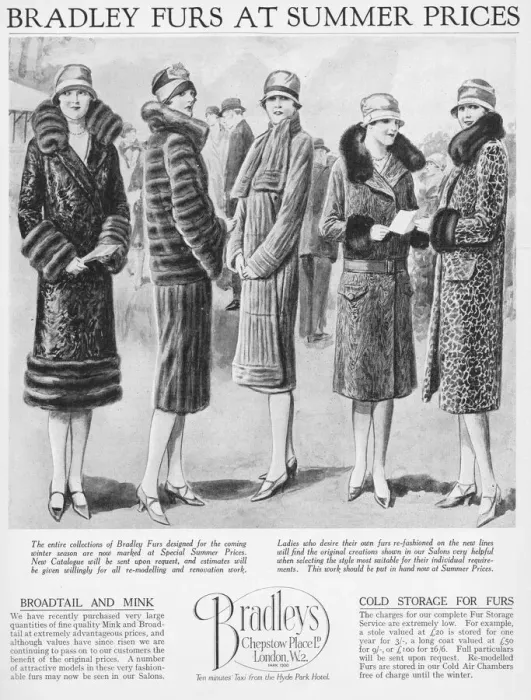 Framed Print : Advert for Bradleys fur coats, London, 1926 Framed Print : Advert for Bradleys fur coats, London, 1926
