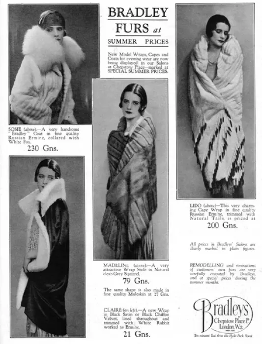 Framed Print : Advert for Bradleys Furs, 1927 Framed Print : Advert for Bradleys Furs, 1927