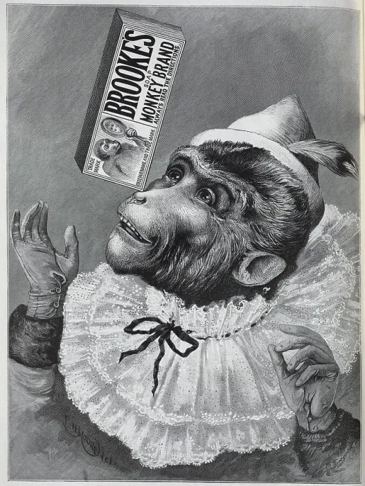 Framed Print : Advertisement, for Brookes Soap, Monkey Brand Framed Print : Advertisement, for Brookes Soap, Monkey Brand