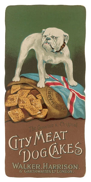 Advertisement for City Meat Dog Cakes