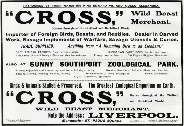 Framed Print : Advertisement for Cross - Wild Beast Merchant, Liverpool Framed Print : Advertisement for Cross - Wild Beast Merchant, Liverpool