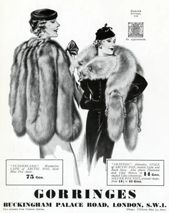 Framed Print : Advert for Gorringes womens furs 1937 Framed Print : Advert for Gorringes womens furs 1937