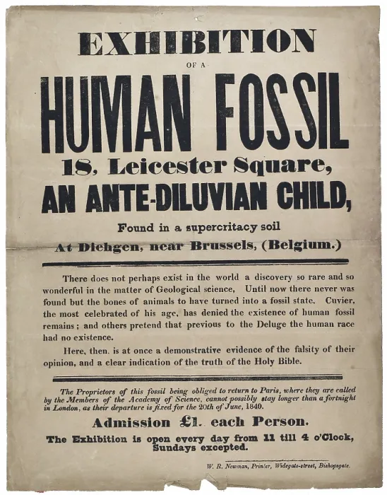 Framed Print : Advertisement for a Human Fossil Framed Print : Advertisement for a Human Fossil