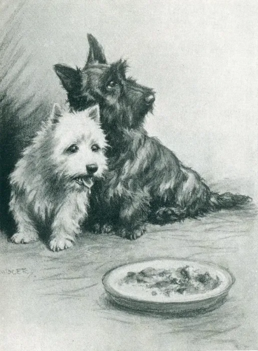 Framed Print : Advertisement Illustration, Westie & Scottie Framed Print : Advertisement Illustration, Westie & Scottie