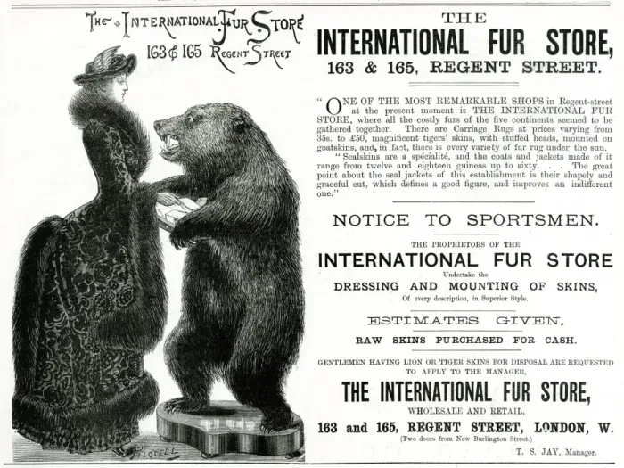 Framed Print : Advert for International Fur Store 1882 Framed Print : Advert for International Fur Store 1882