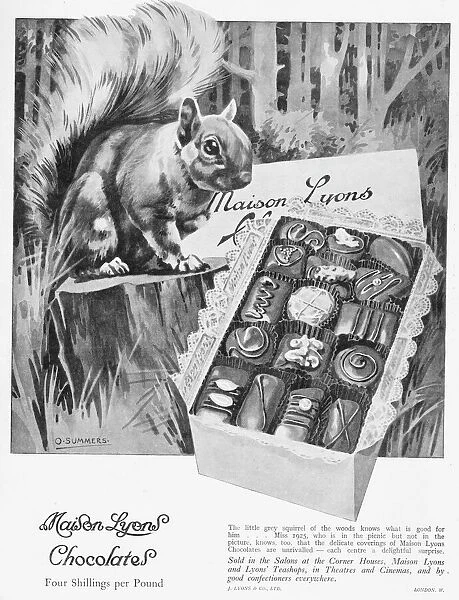 Advert for Maison Lyons chocolate, 1925