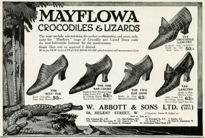 Framed Print : Advert for Mayflowa crocodile and lizard womens shoes 1923 Framed Print : Advert for Mayflowa crocodile and lizard womens shoes 1923