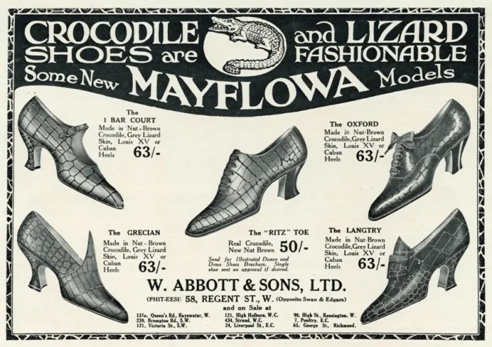 Framed Print : Advert for Mayflowa crocodile and lizard womens shoes 1923 Framed Print : Advert for Mayflowa crocodile and lizard womens shoes 1923