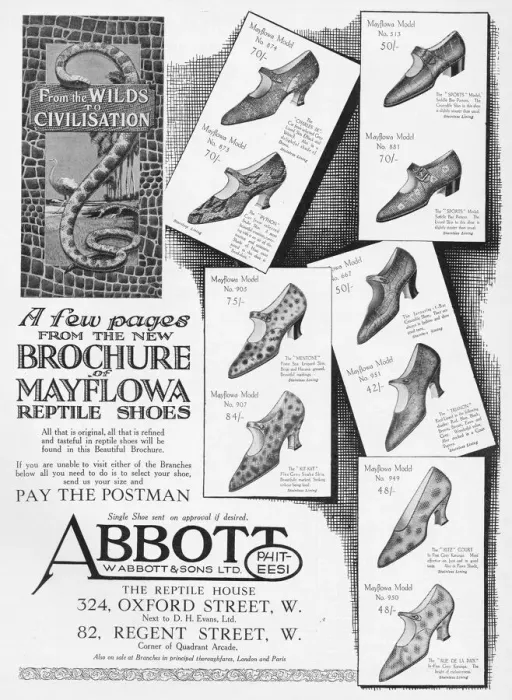 Framed Print : Advert for Mayflowa Reptile shoes for Abbott and Sons Ltd Framed Print : Advert for Mayflowa Reptile shoes for Abbott and Sons Ltd