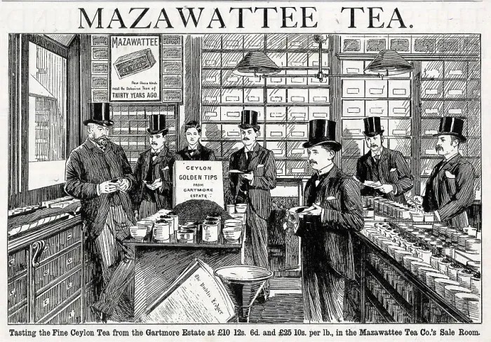 Framed Print : Advert, Mazawattee Tea Co Framed Print : Advert, Mazawattee Tea Co