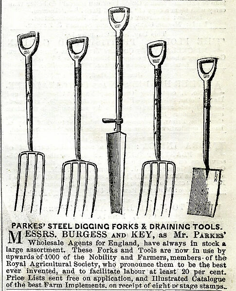 Advert, Parkes steel digging forks and draining tools