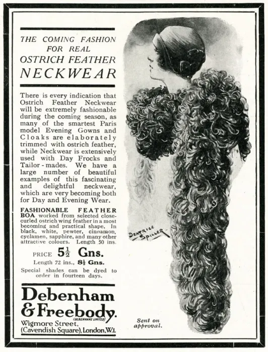 Framed Print : Advert for Peter Robinson ostrich feather neckwear 1924 Framed Print : Advert for Peter Robinson ostrich feather neckwear 1924
