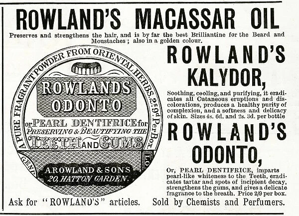Advert for Rowlands Macassar Oil 1890