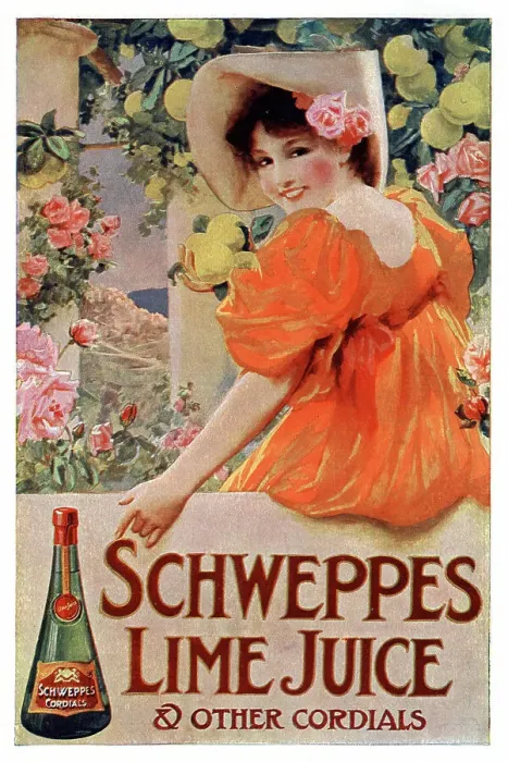Framed Print : Advert, Schweppes Lime Juice Cordial Framed Print : Advert, Schweppes Lime Juice Cordial