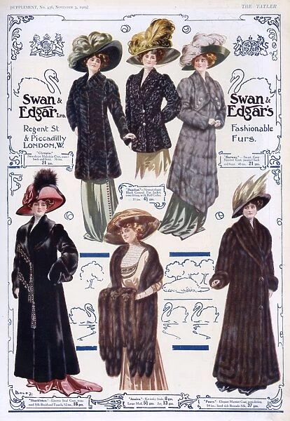 Advert for Swan & Edgar ladies fur coats 1909