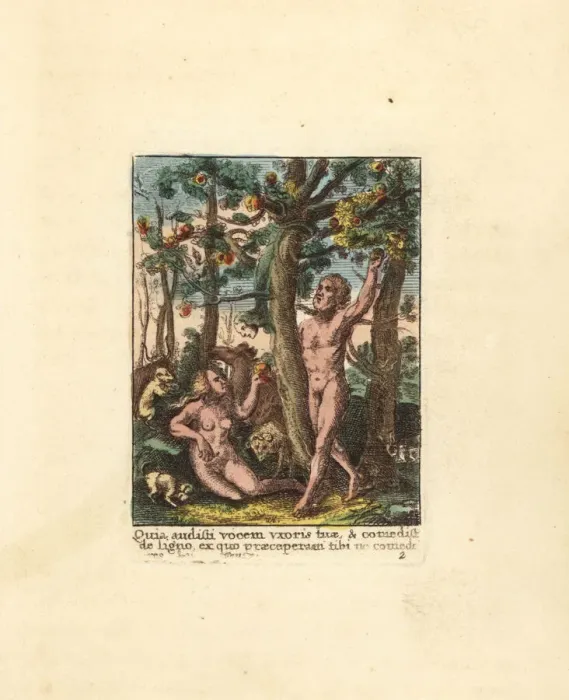 Framed Print : Adam and Eve in the Garden of Eden Framed Print : Adam and Eve in the Garden of Eden