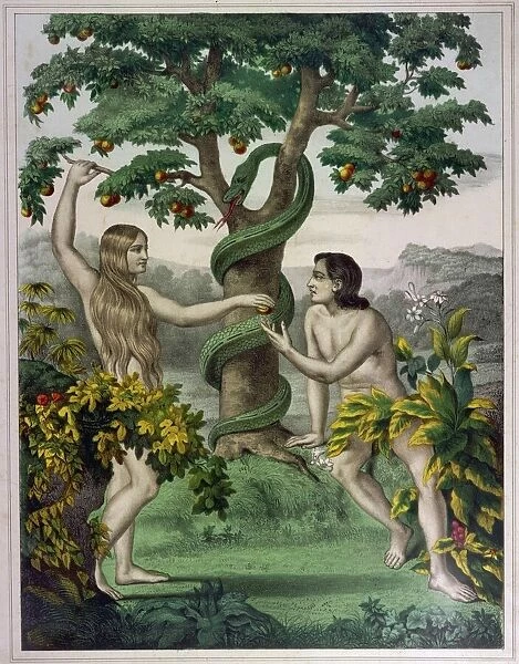 Adam, Eve, Serpent. Conveniently placed foliage conceals the private parts of Adam
