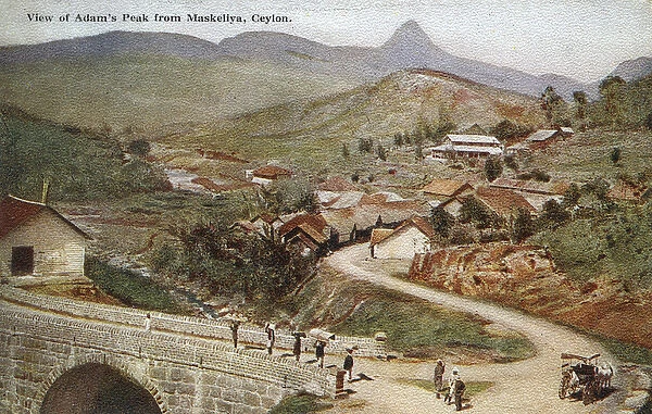Adams Peak from Maskeliya, Ceylon (Sri Lanka)