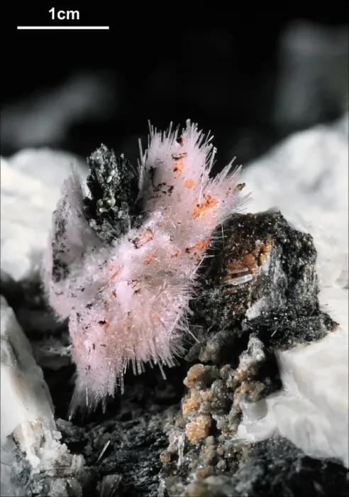 Framed Print : Adamsite-(Y) Framed Print : Adamsite-(Y)
