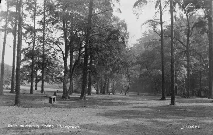 Framed Print : Addington Woods, Near Croydon Framed Print : Addington Woods, Near Croydon