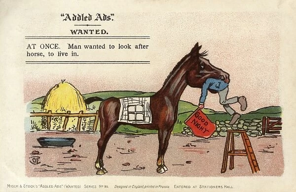 Addled Ads - Living in a HORSE